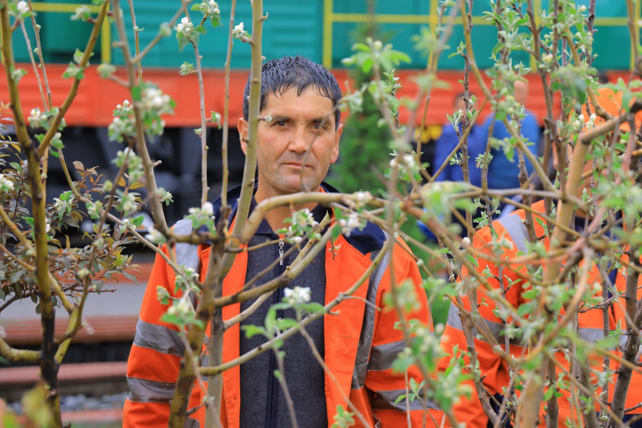Mirobod tumanida “Yashil makon” umummilliy loyihasi doirasida amaliy ishlar izchil davom etmoqda