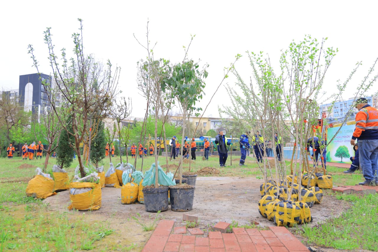 Mirobod tumanida “Yashil makon” umummilliy loyihasi doirasida amaliy ishlar izchil davom etmoqda