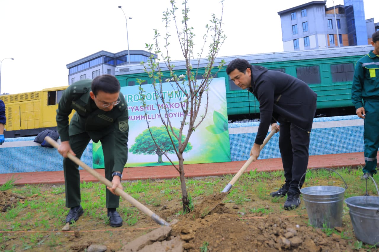 Mirobod tumanida “Yashil makon” umummilliy loyihasi doirasida amaliy ishlar izchil davom etmoqda