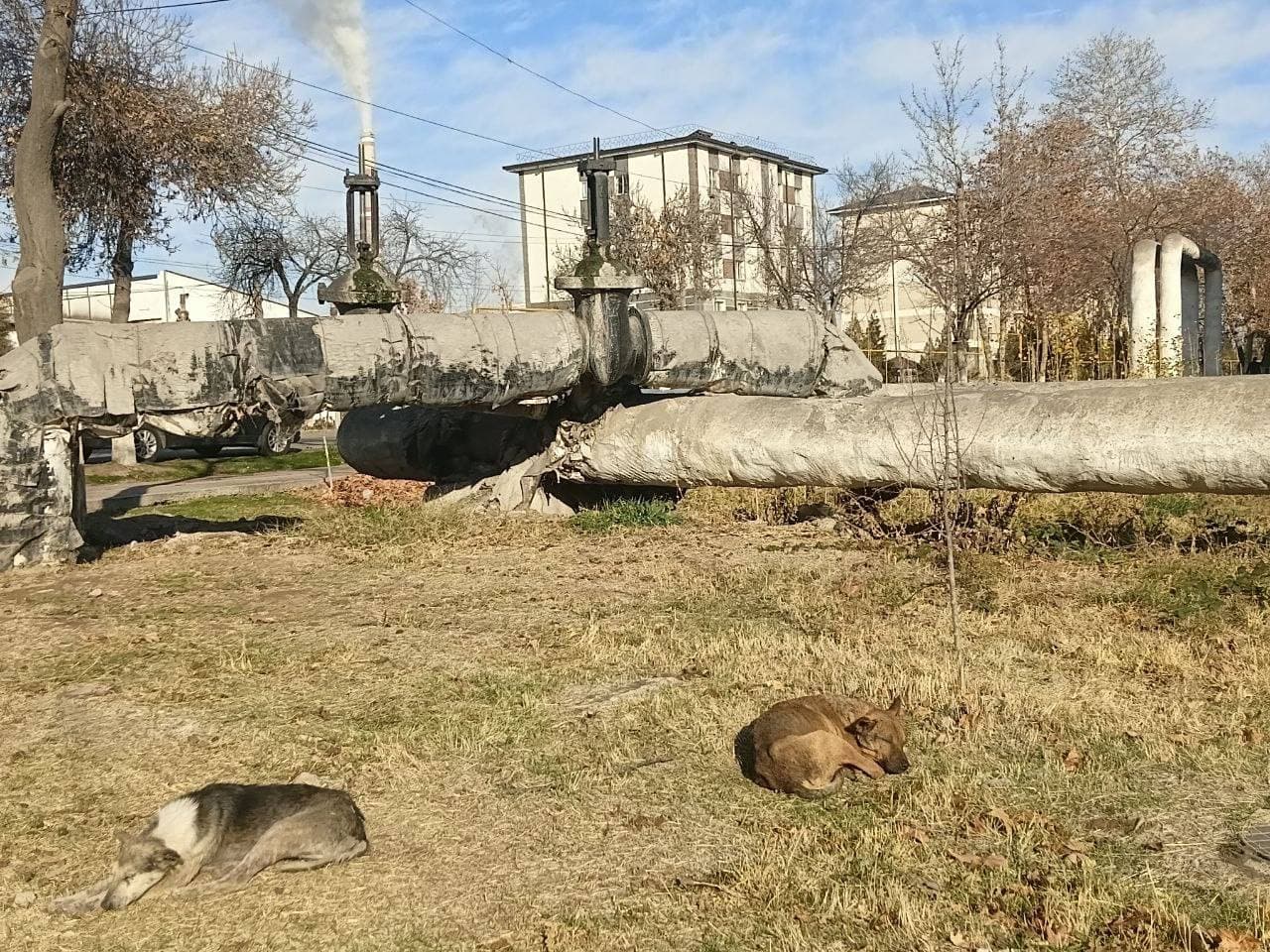 Xodimlar qat’iy ogohlantirildi