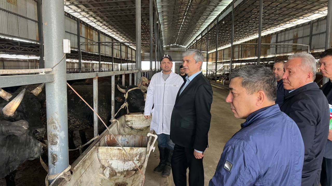 ОАВ вакиллари учун “Agro Eko Farm” МЧЖ чорвачилик комплексида ўтказилган семинар юзасидан пресс-тур ташкил этилди