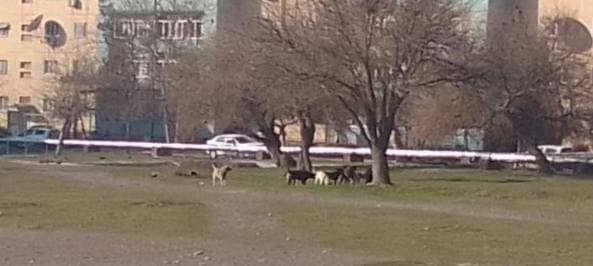 Xodimlar qat’iy ogohlantirildi