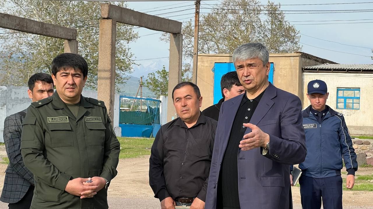 "Qiziloy" va "Susam"da nima gap?