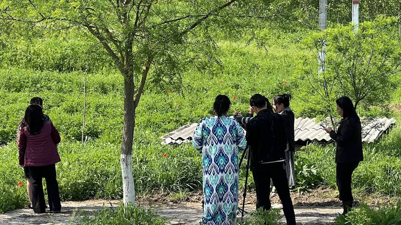 "Yashil makon" umummilliy loyihasi doirasida amalga oshirilayotgan ishlar to‘g‘risida PRЕSS-RЕLIZ