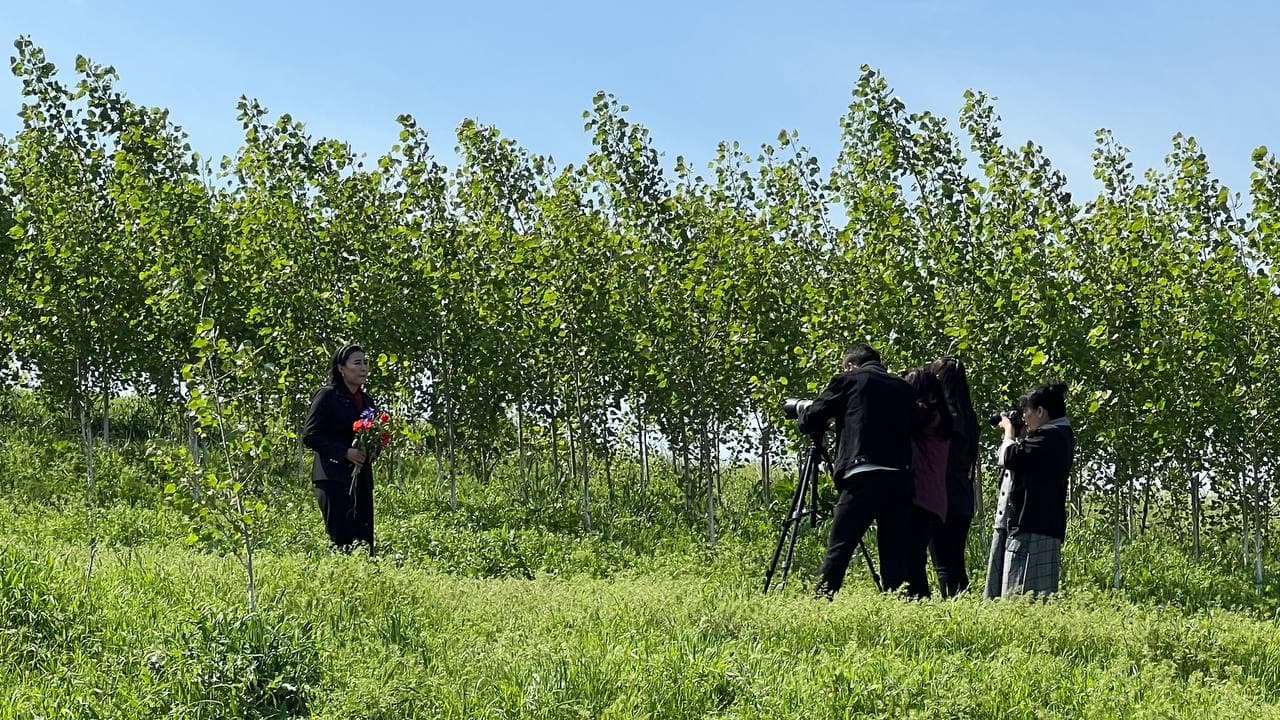 "Yashil makon" umummilliy loyihasi doirasida amalga oshirilayotgan ishlar to‘g‘risida PRЕSS-RЕLIZ