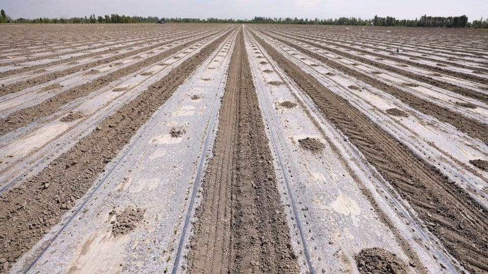 Bo’ka: Samaradorlik sari yangi va innovatsion yondashuvlar