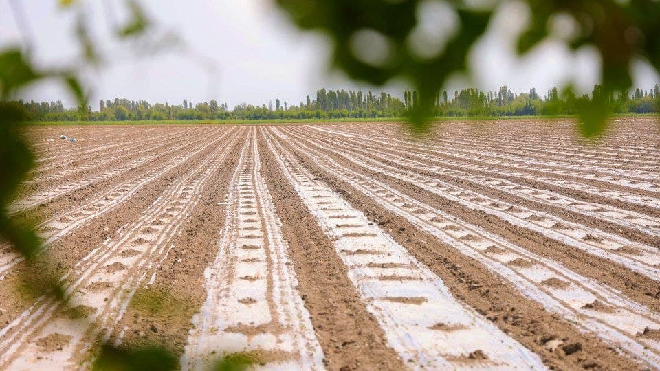 Bo’ka: Samaradorlik sari yangi va innovatsion yondashuvlar