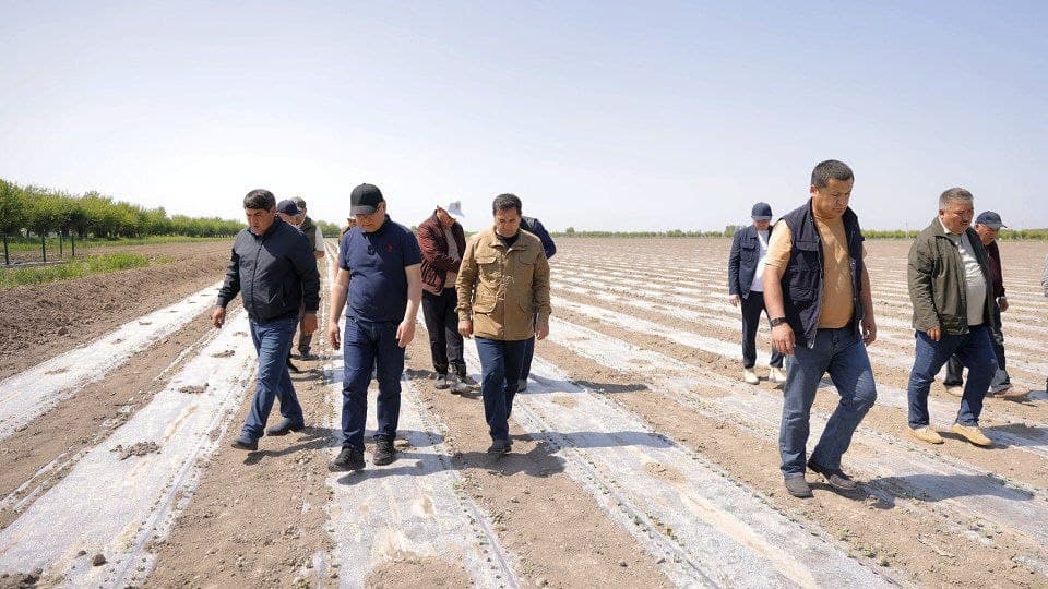 Bo’ka: Samaradorlik sari yangi va innovatsion yondashuvlar