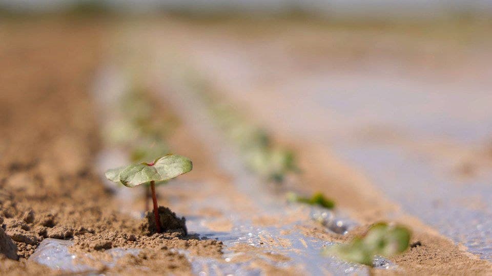 Bo’ka: Samaradorlik sari yangi va innovatsion yondashuvlar