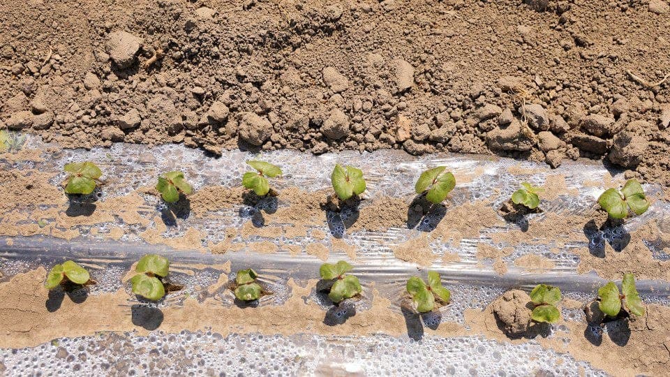 Bo’ka: Samaradorlik sari yangi va innovatsion yondashuvlar