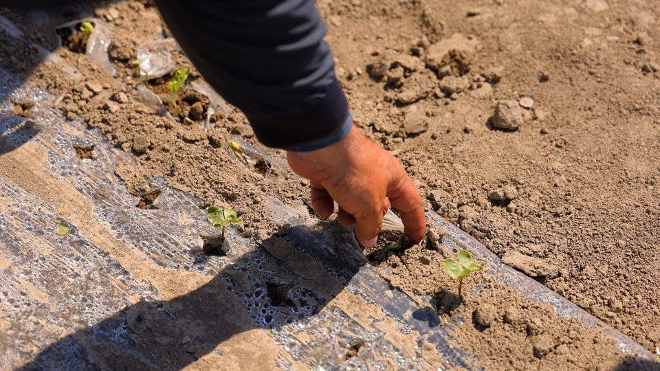 Bo’ka: Samaradorlik sari yangi va innovatsion yondashuvlar