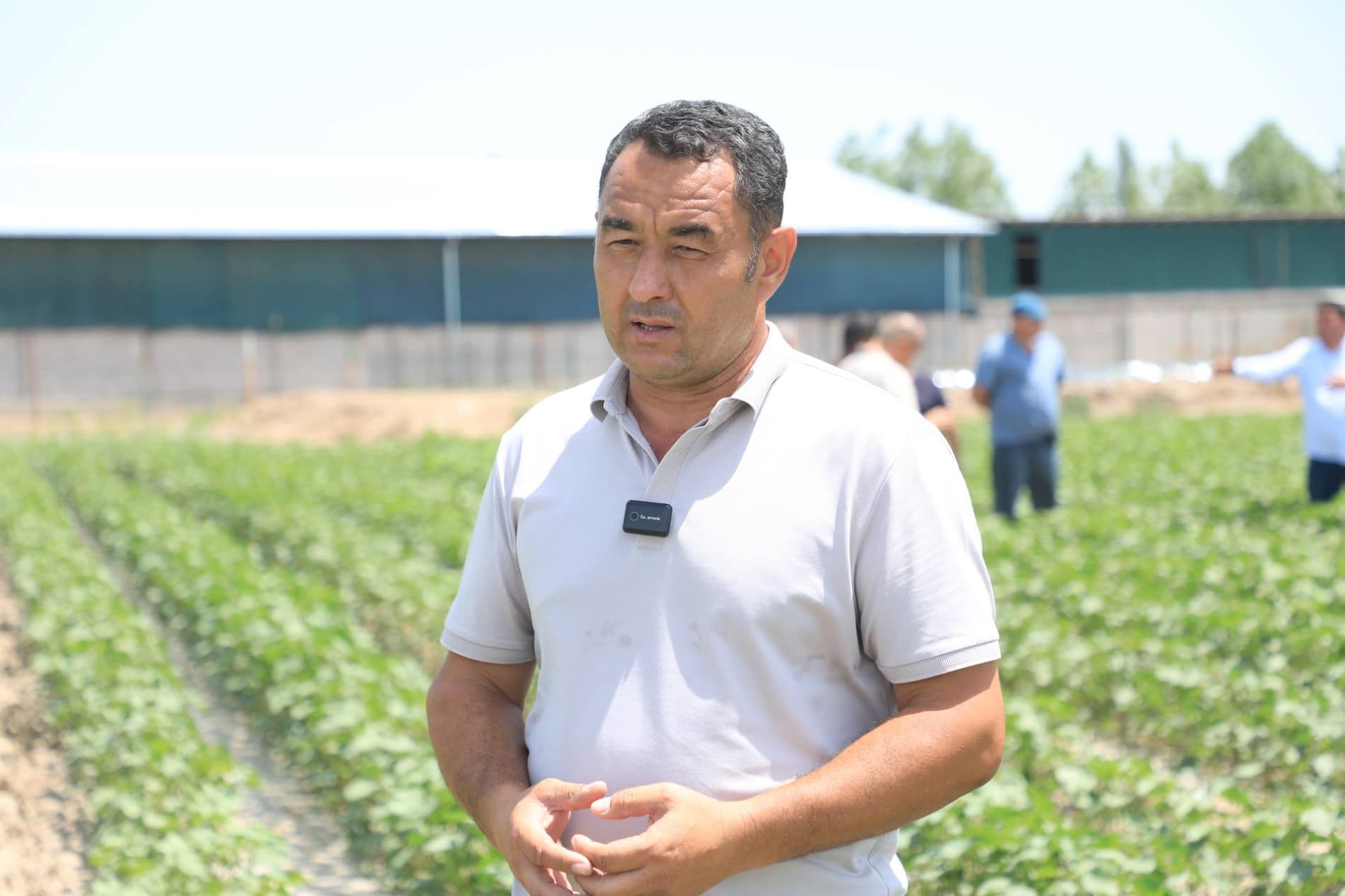 Bo‘ka tumanida paxta parvarishi bo‘yicha amaliy seminar tashkil etildi