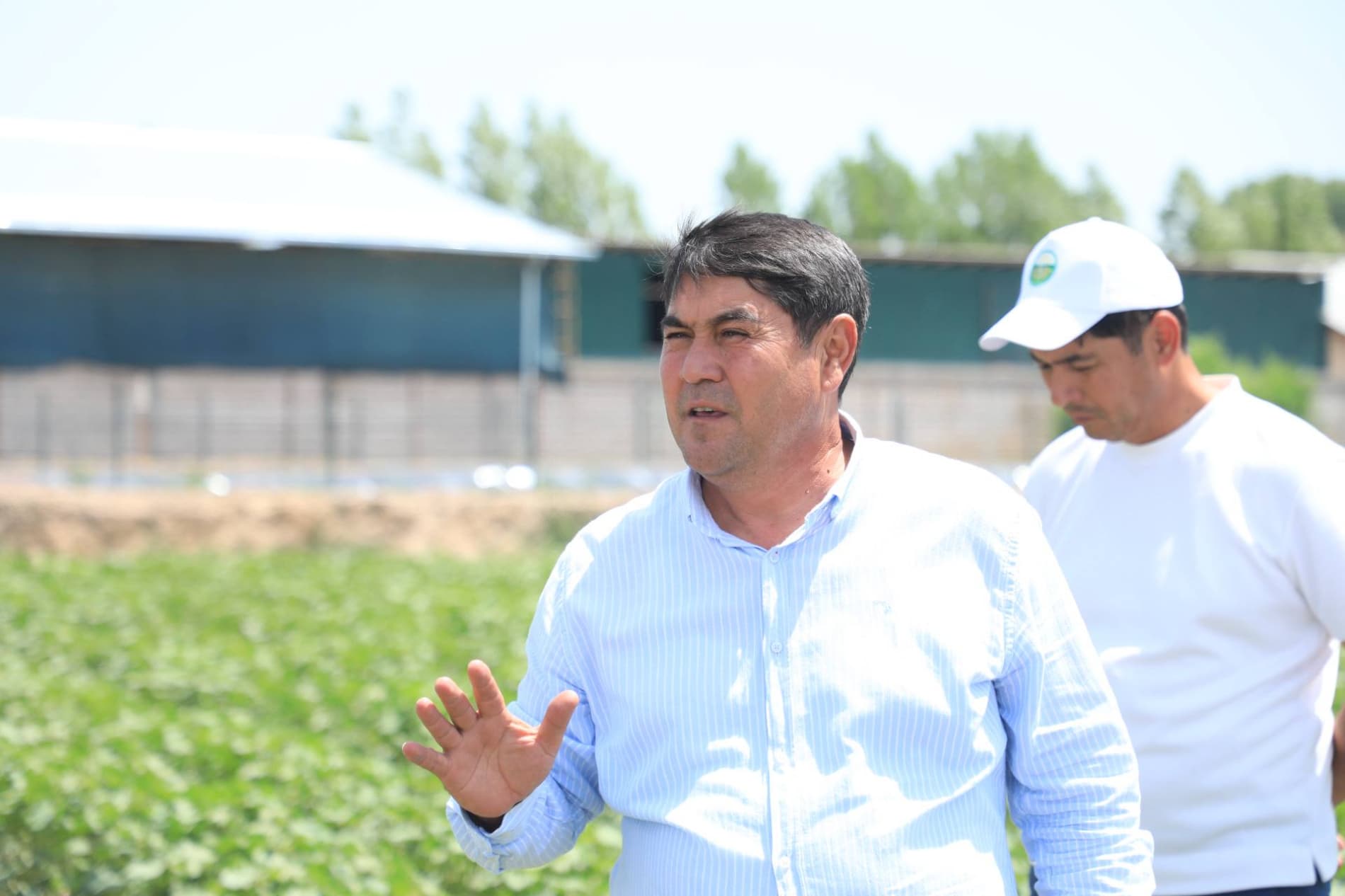 Bo‘ka tumanida paxta parvarishi bo‘yicha amaliy seminar tashkil etildi