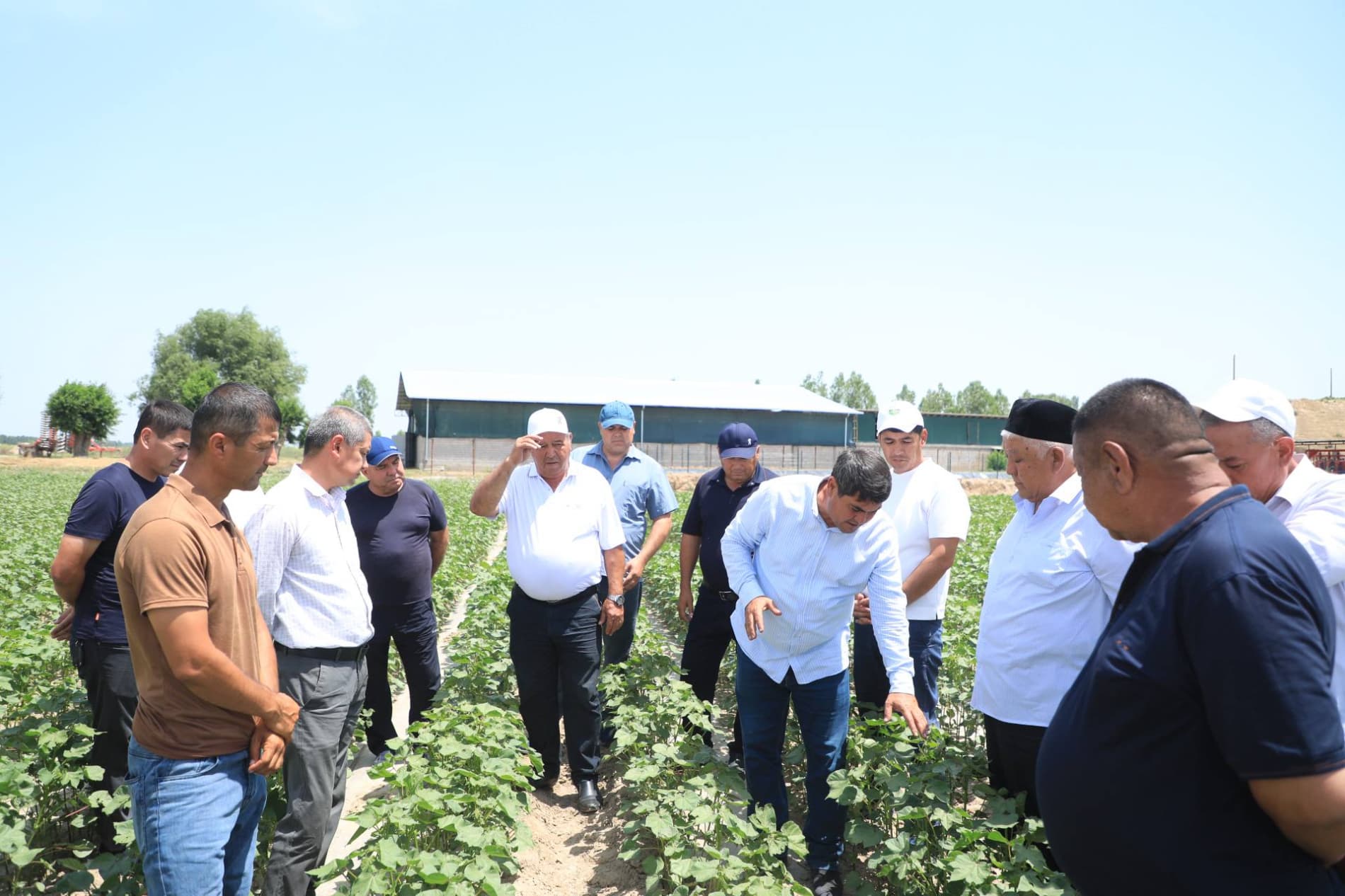 Bo‘ka tumanida paxta parvarishi bo‘yicha amaliy seminar tashkil etildi