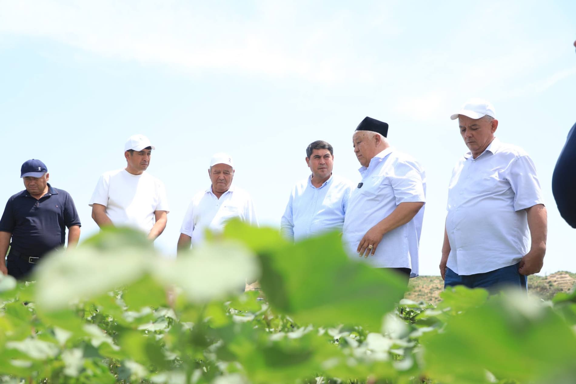 Bo‘ka tumanida paxta parvarishi bo‘yicha amaliy seminar tashkil etildi