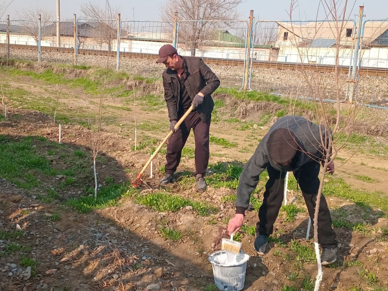 Temir yo‘l bo‘ylarida obodonlashtirish ishlari davom etmoqda