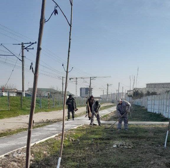 Temir yo‘l bo‘ylarida obodonlashtirish ishlari davom etmoqda