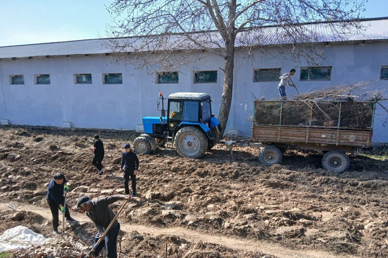 Temir yo‘l bo‘ylarida obodonlashtirish ishlari davom etmoqda