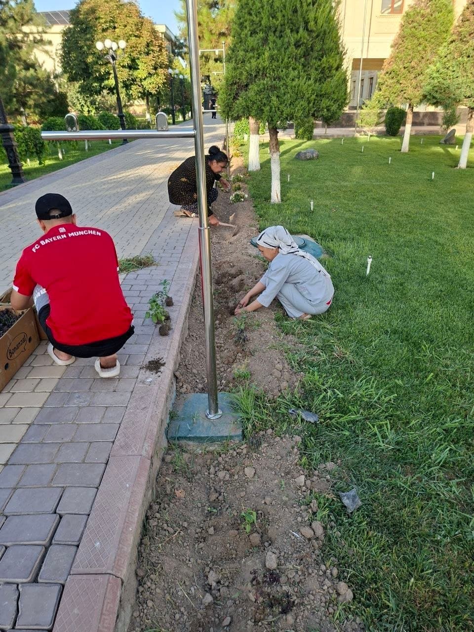 #dolzarb_40_kunlik