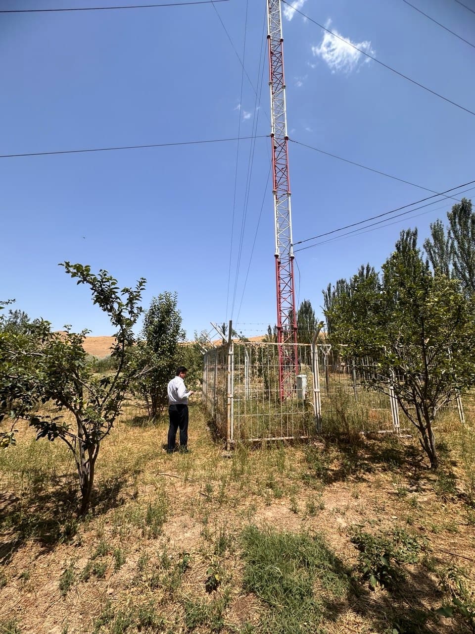 The Quality and Coverage of Telecommunication Services Studied in Jizzakh Region.