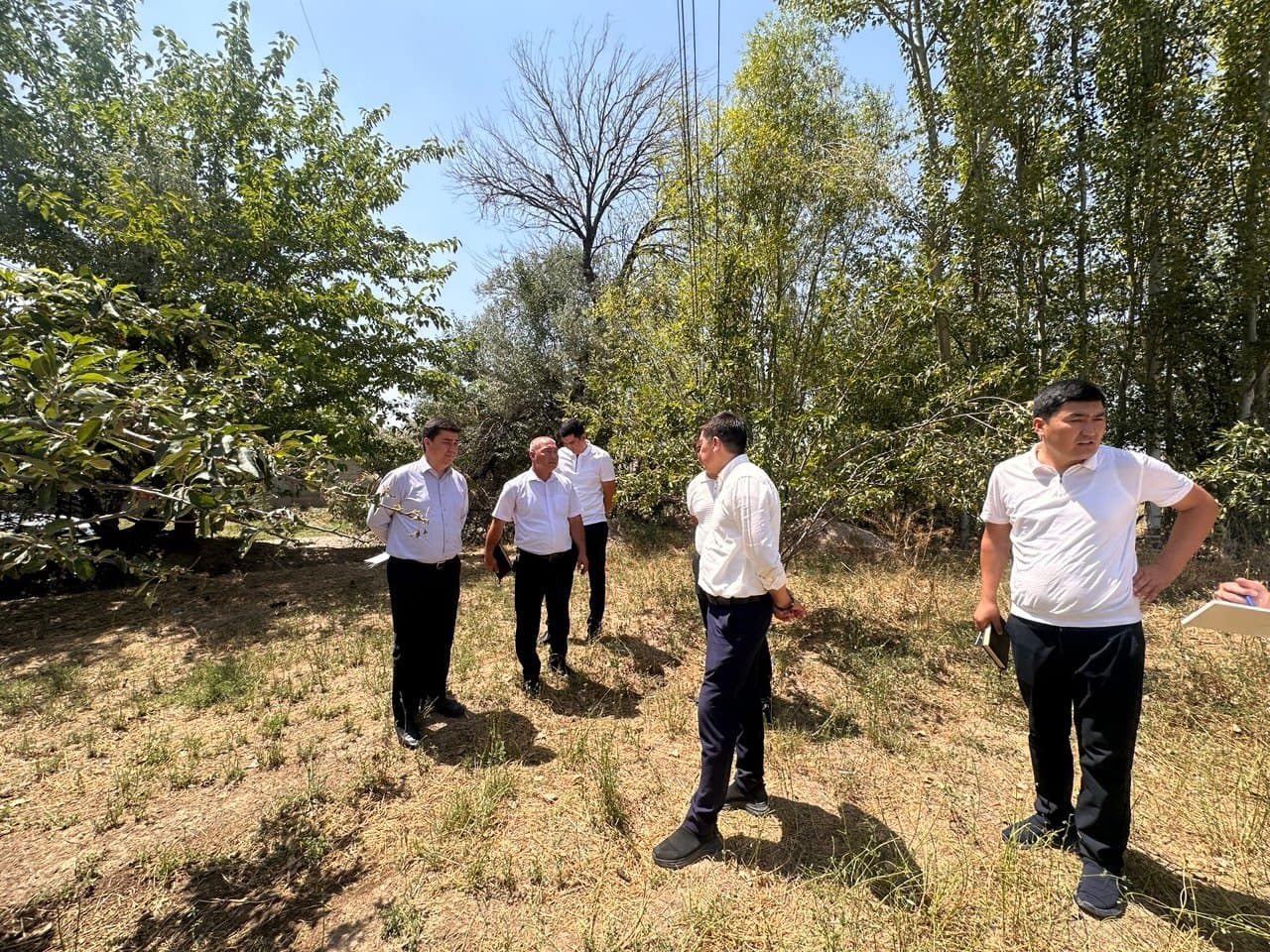 The Quality and Coverage of Telecommunication Services Studied in Jizzakh Region.
