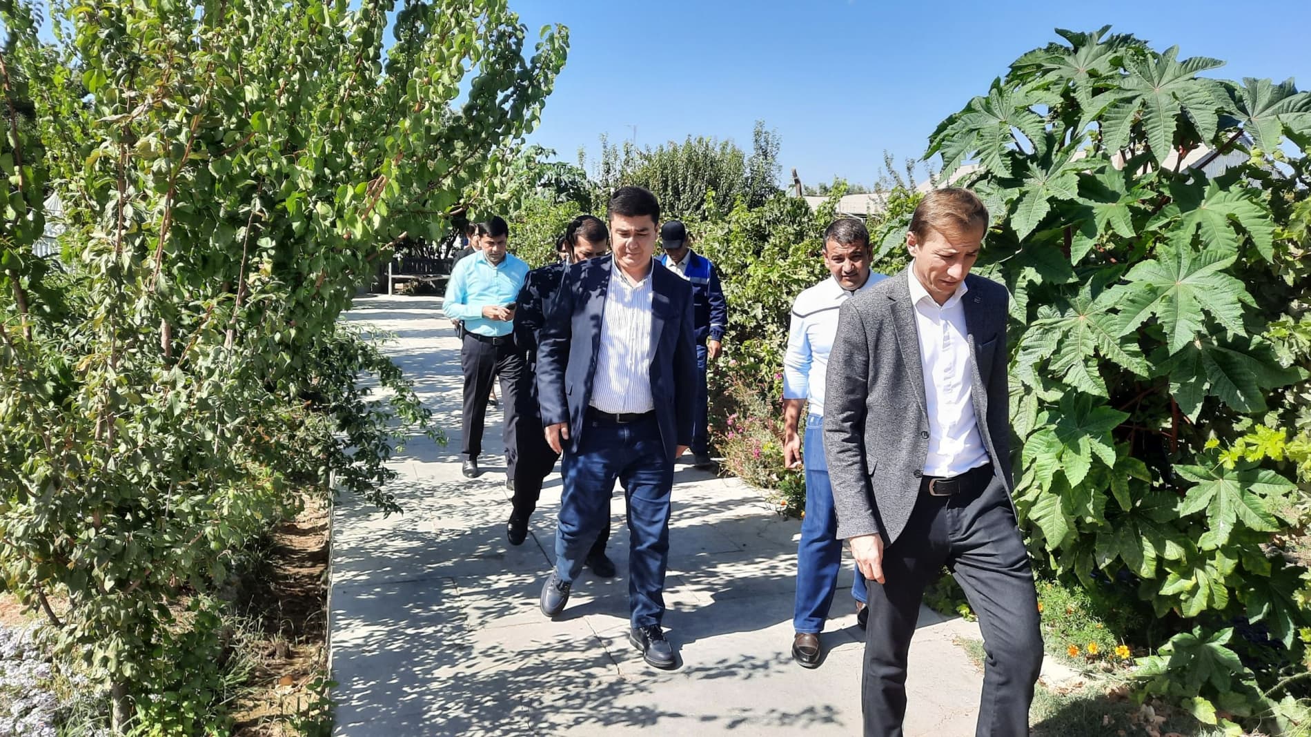 The Quality and Coverage of Telecommunications Services Were Studied in Bukhara Region.