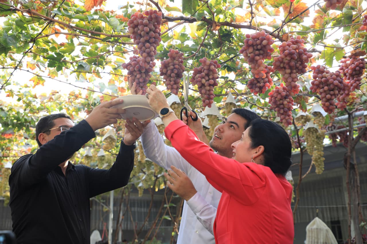 Andijonda AQSH investitsiya loyihalari amalga oshiriladi