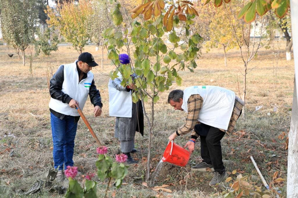 Andijonda kuz mavsumida qancha ko‘chat ekildi?