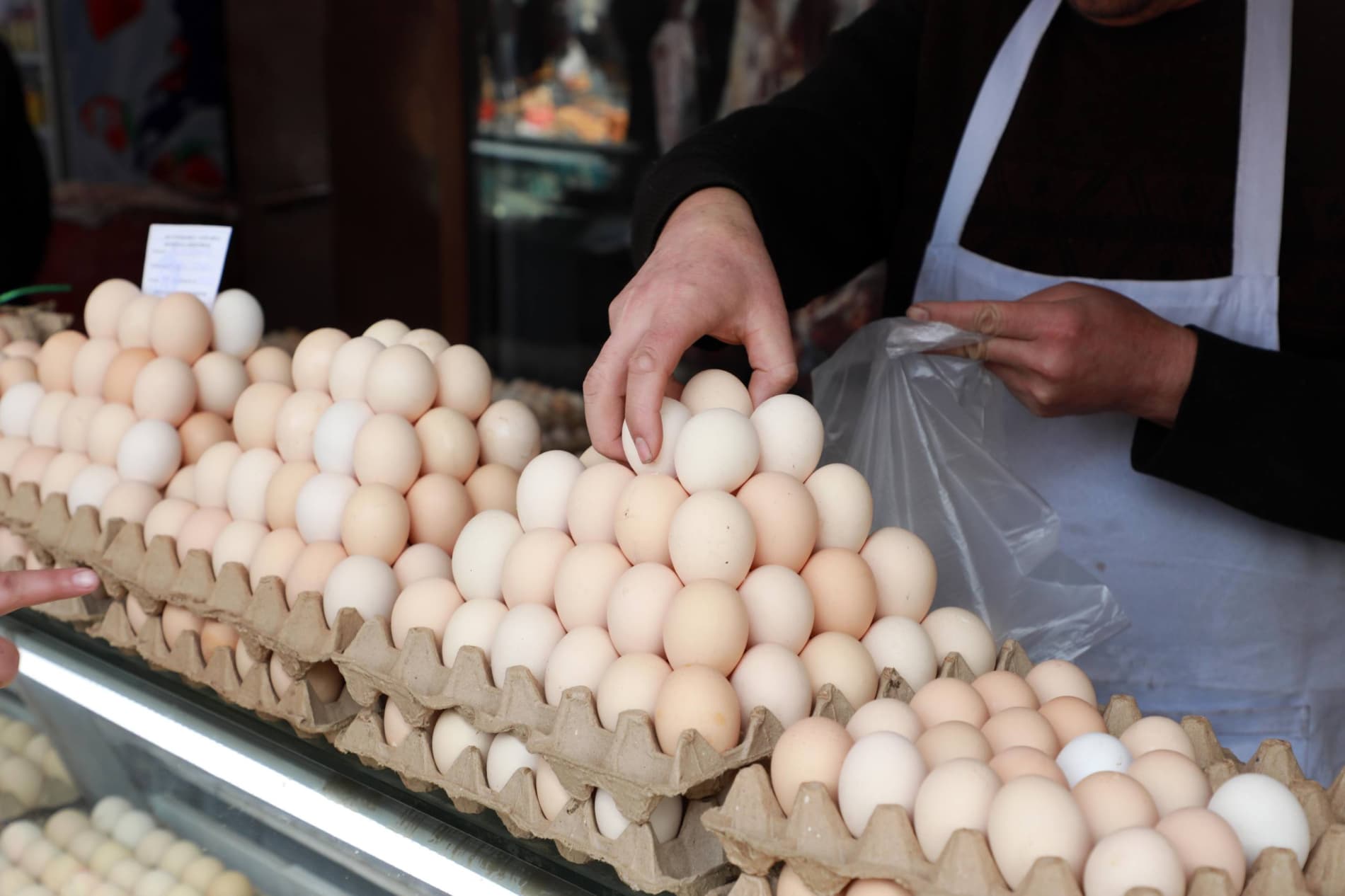 Savdo yarmarkalari tashkil etildi