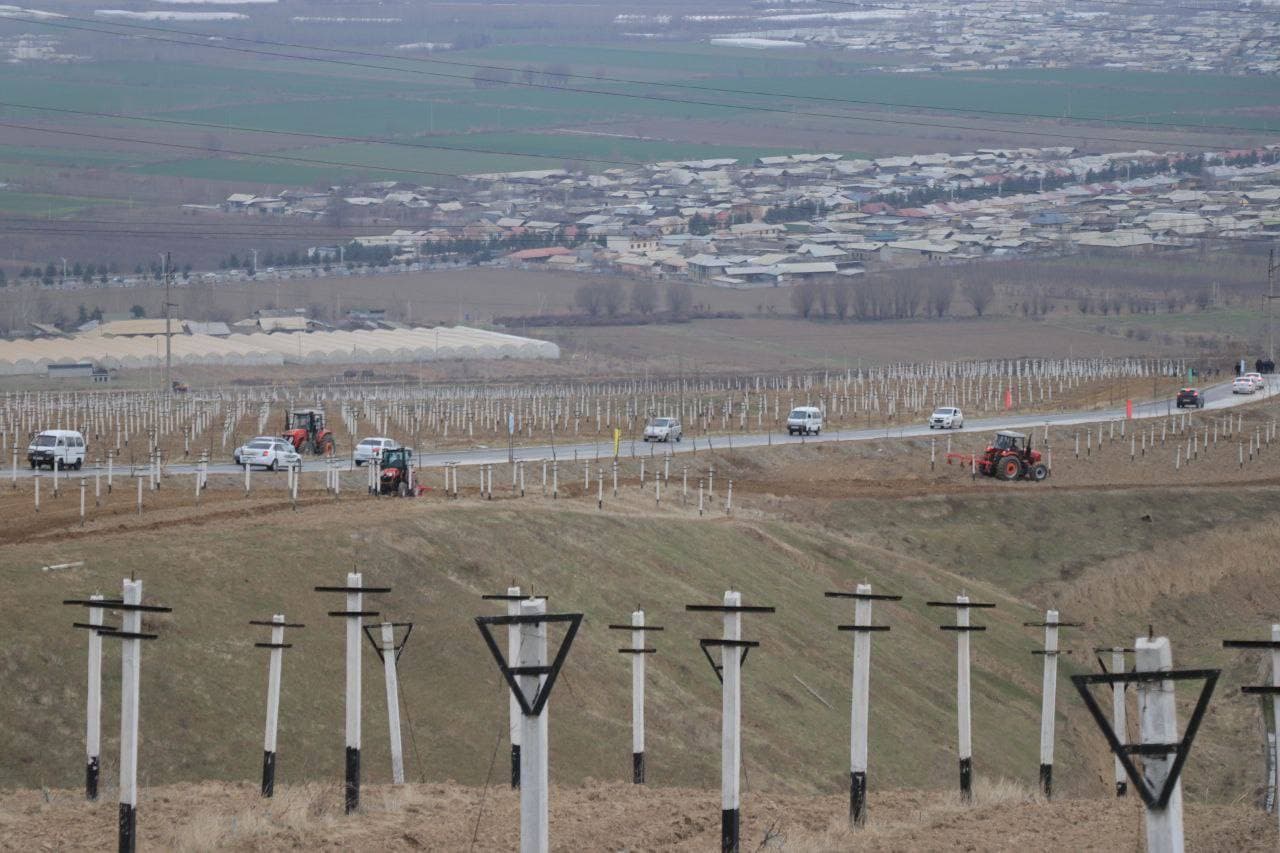Asaka tumani adirliklarida yangi turizm maskani barpo etish rejalashtirilmoqda