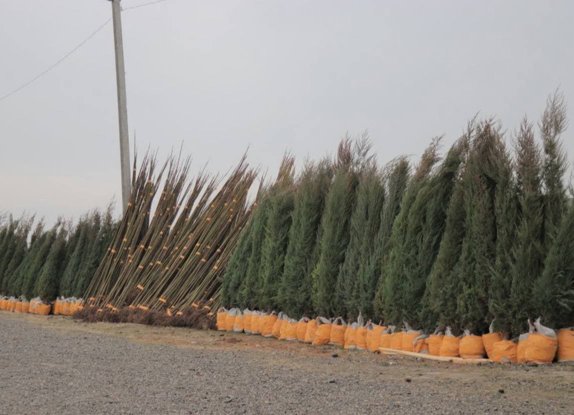 Asaka tumani adirliklarida yangi turizm maskani barpo etish rejalashtirilmoqda