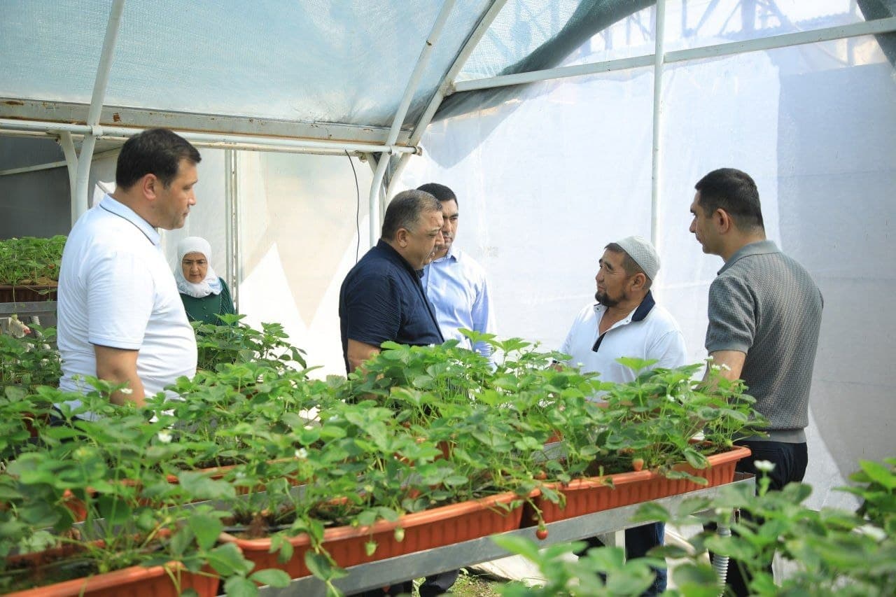 Quvasoyda “Dolzarb qirq kunlik” ijrosi o‘rganildi