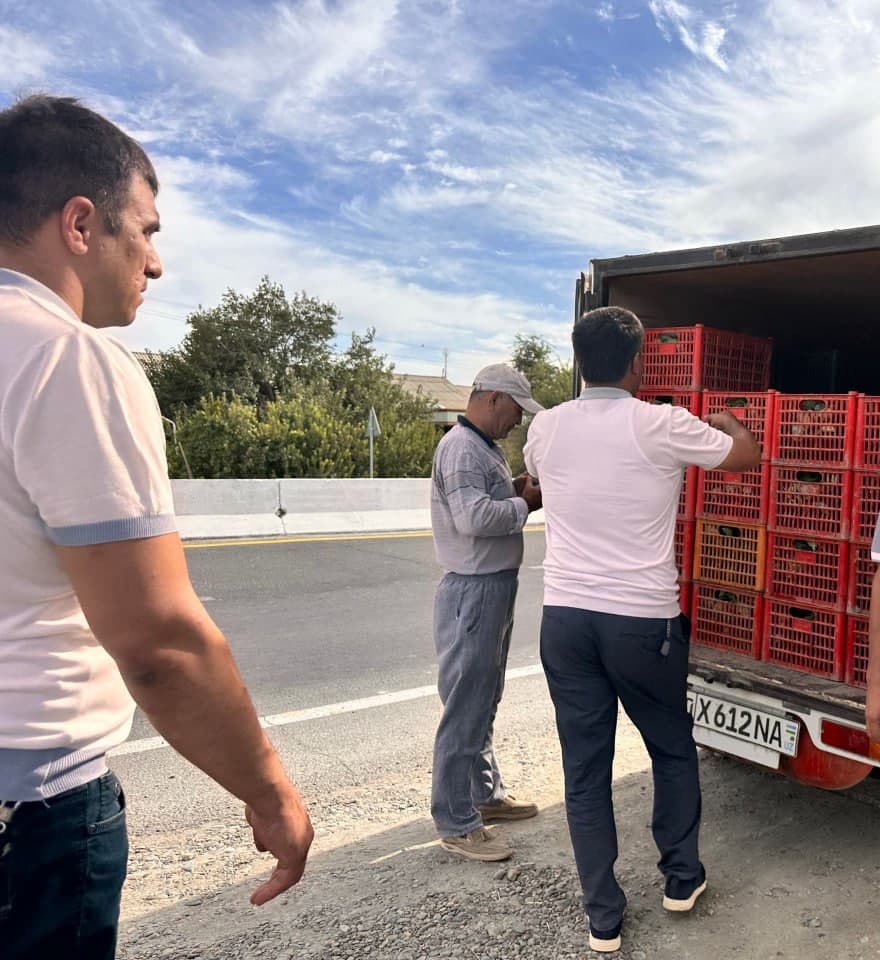 Бухарский район: по принципу "один контур – один продукт" в "Работипойоне" выращивают капусту брокколи