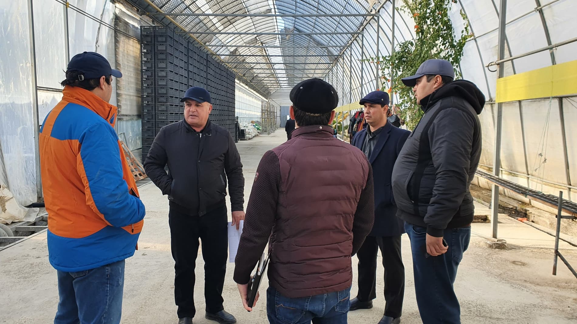 Ромитан: мақсад — иссиқхонани сердаромад бизнес йўналишига айлантириш