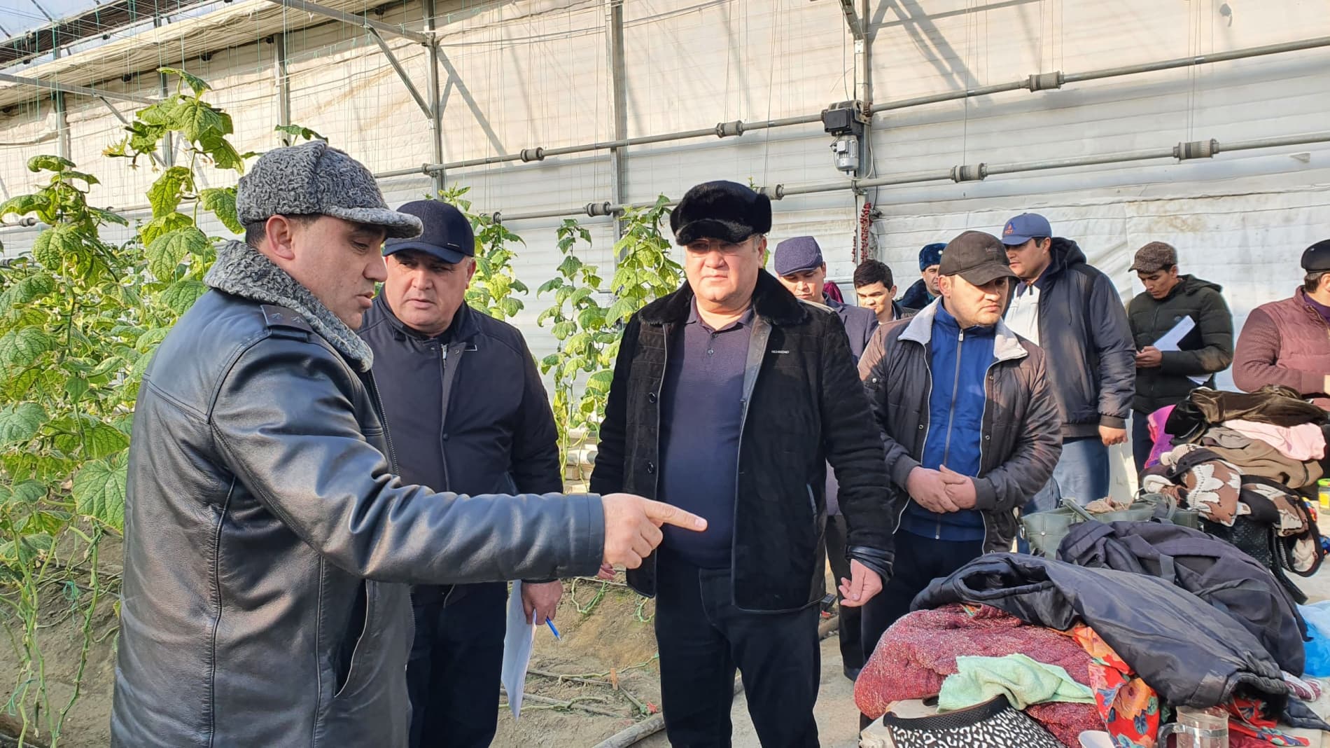 Ромитан: мақсад — иссиқхонани сердаромад бизнес йўналишига айлантириш