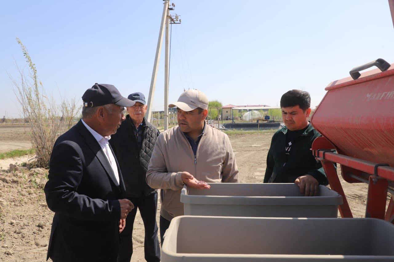 Buxoro tumani: “Oʻktam Ibrohim toʻqli” koʻp tarmoqli urugʻchilik fermer xoʻjaligida ham ish qizgʻin