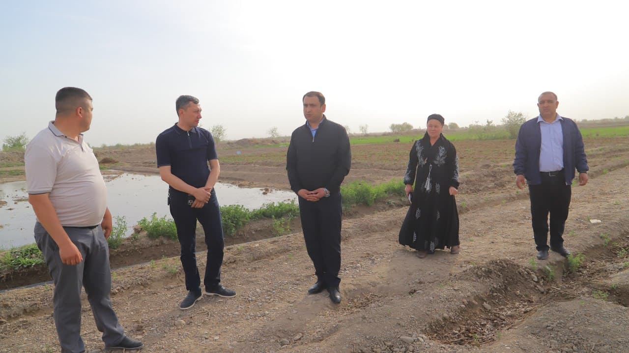 Шофиркон: “Учқун-97” фермер хўжалиги 1,2 гектар ерда сабзавот маҳсулотлари етиштирмоқда