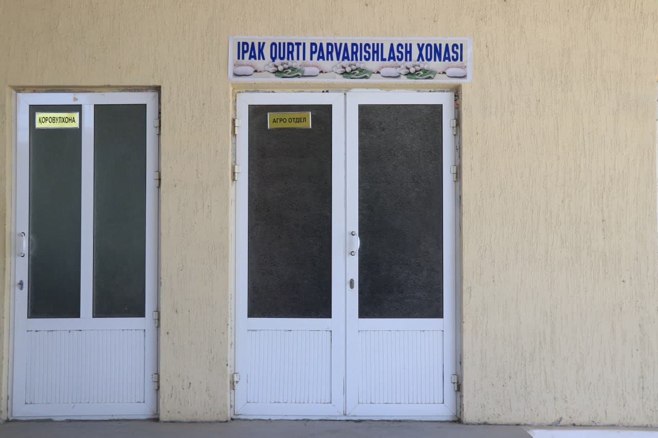 Шофиркон: савраклик Раъно ая 76 ёшида ҳам пиллакорлар «бригадири»