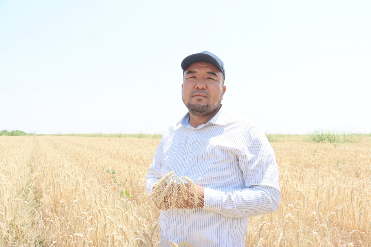 Qorovulbozor: Jarqoqda “Muborak Zarbuloq” fermer xoʻjaligida moʻl hosil yetishtirilmoqda