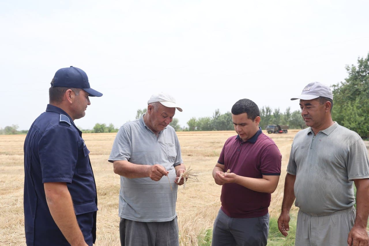 “Ғалла-2025”: Зафар муборак, ғиждувонлик ғаллакорлар!