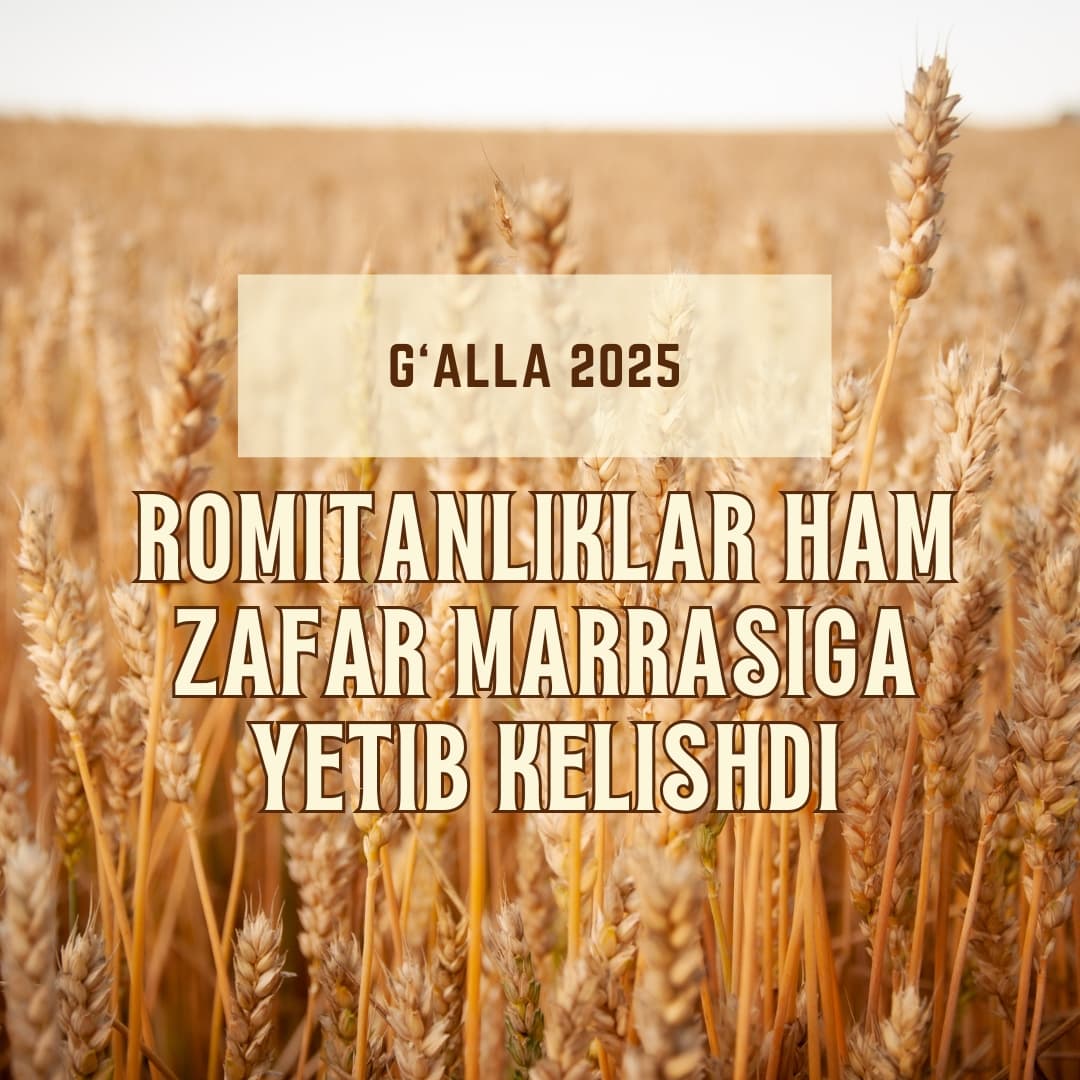 Ғалла-2025: Ромитанликлар ҳам зафар маррасига етиб келишди