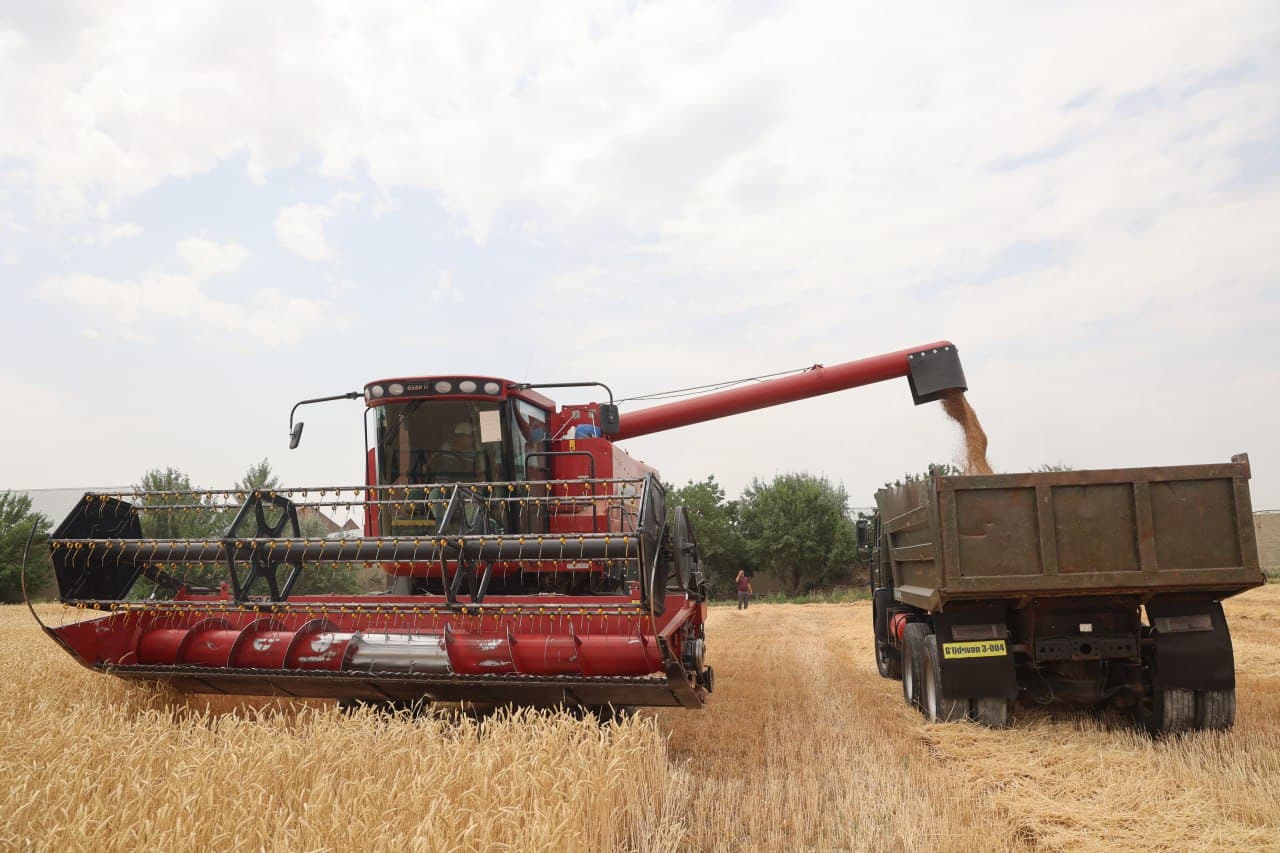 “Ғалла-2025”: Зафар муборак, ғиждувонлик ғаллакорлар!