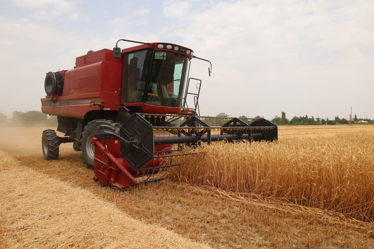 “Ғалла-2025”: Зафар муборак, ғиждувонлик ғаллакорлар!