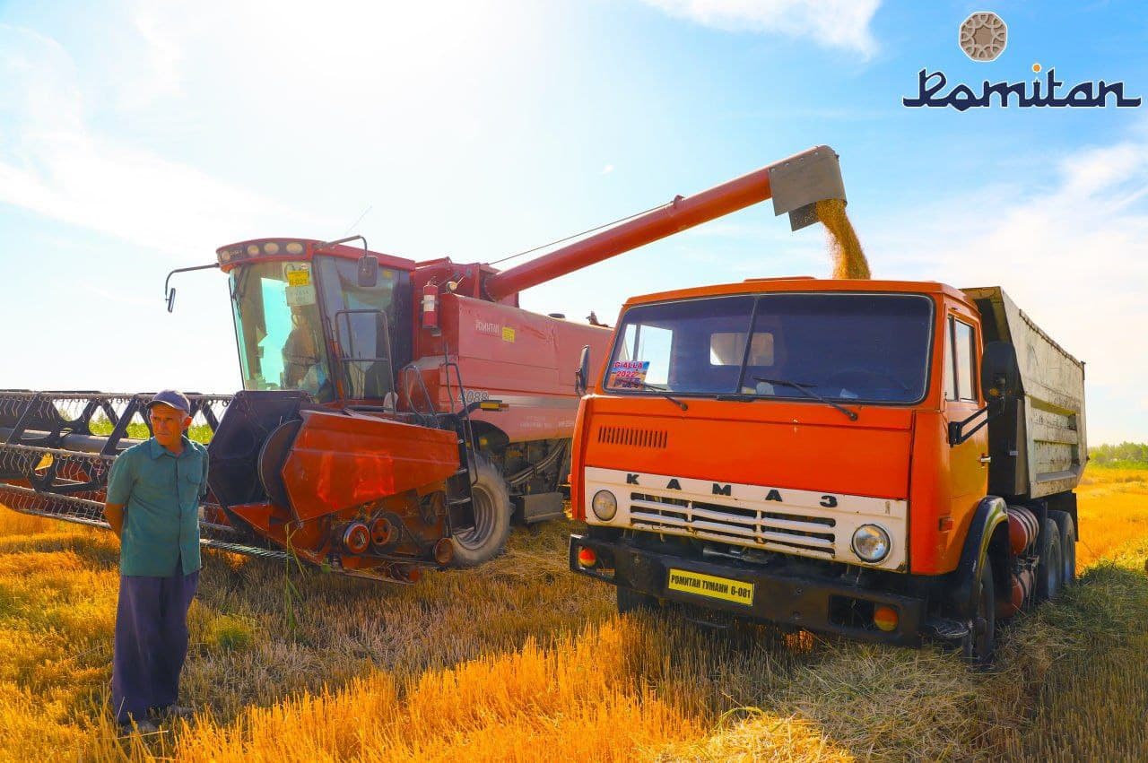 Ғалла-2025: Ромитанликлар ҳам зафар маррасига етиб келишди