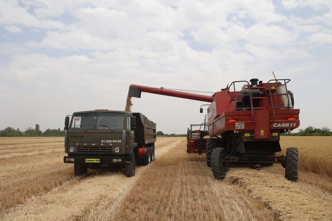 “Ғалла-2025”: Зафар муборак, ғиждувонлик ғаллакорлар!