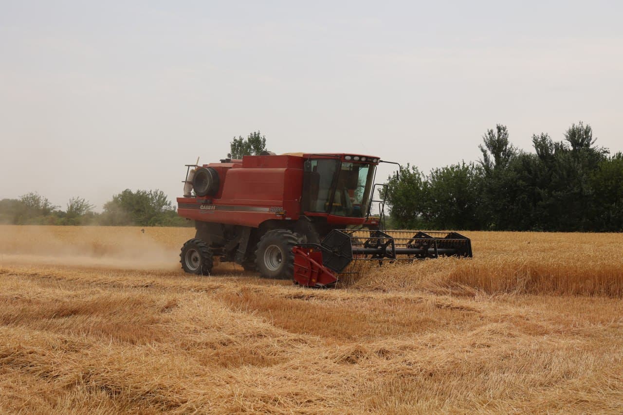 “Ғалла-2025”: Зафар муборак, ғиждувонлик ғаллакорлар!