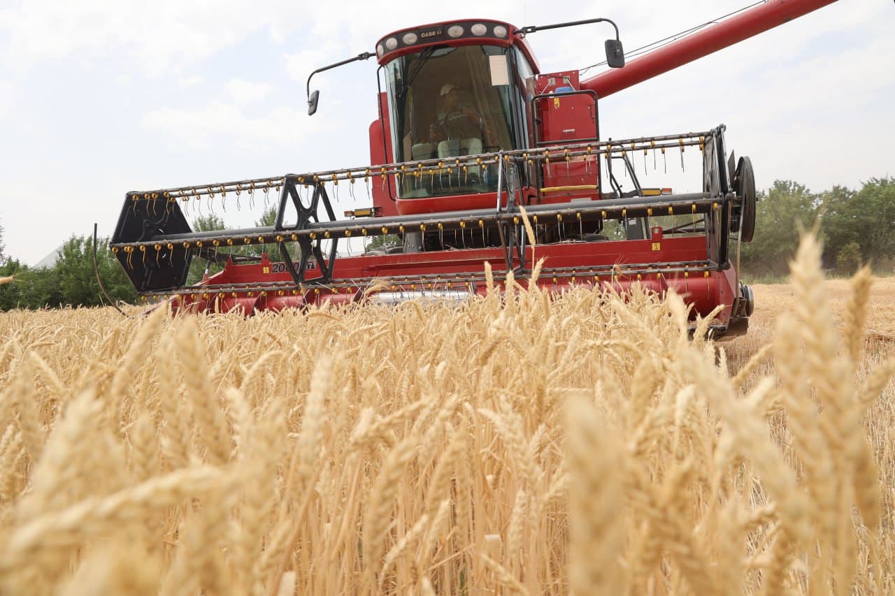 “Ғалла-2025”: Зафар муборак, ғиждувонлик ғаллакорлар!