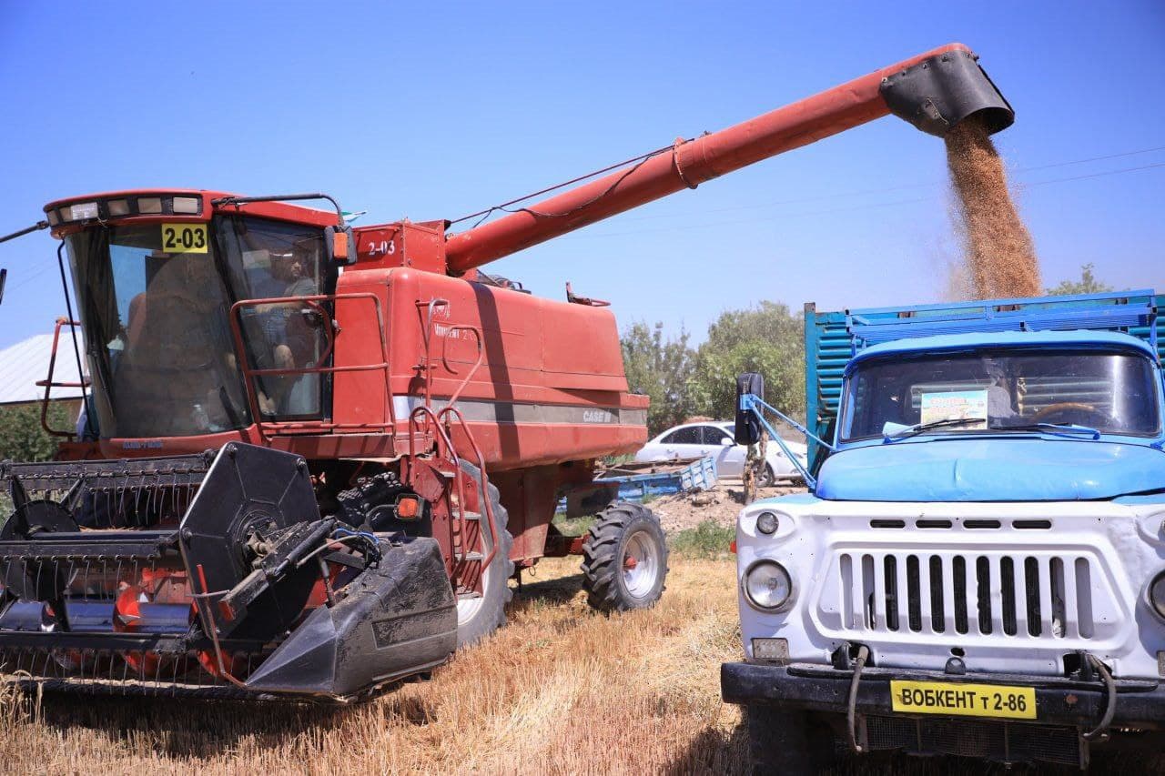 Бухоролик ғаллакорлар улкан меҳнат ғалабасига эришди