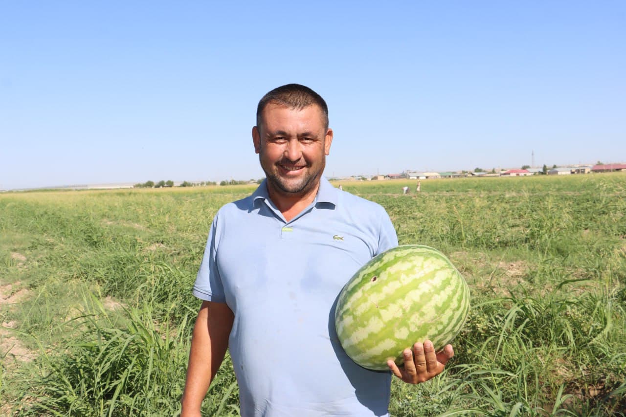 Qorovubozor: “Boʻzachi”dagi 20 gektar maydonda tarvuz va qovoq yetishtirilmoqda