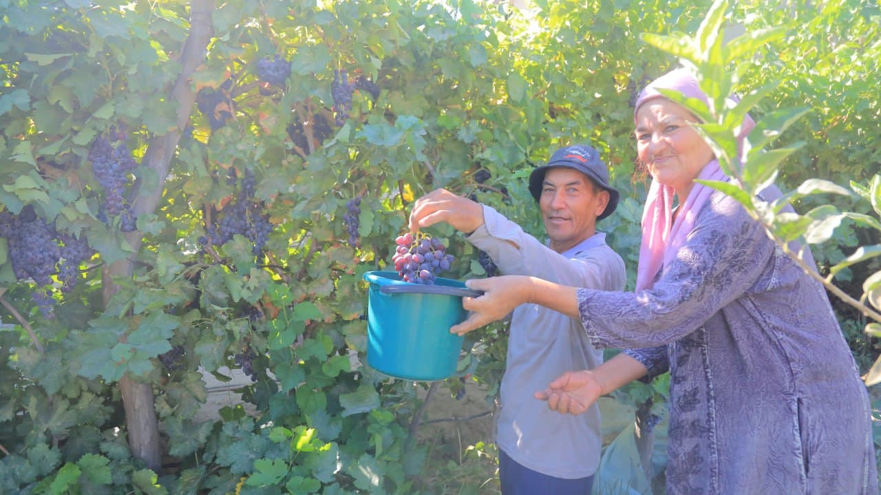 Olot: Boymurodovlar uy xoʻjaligidagi maʼmurlik koʻplarga ibrat